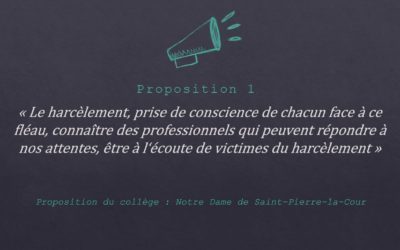 Le projet des élèves du collège Notre Dame retenu au conseil départemental de la vie collégienne